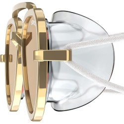 Speedo Gafas de natación unisex para adultos Sunny G